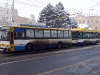 ev. č. 154 - 4. 12. 2010 - Zamrzlý trolejbus ve stanici Benešovo náměstí | © Jakub Grill